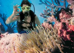 sunnyo_scubadiverwithcoral_nohose.png.webp