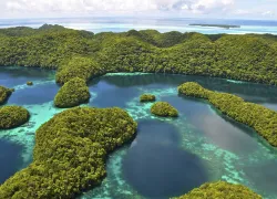 thinkstockpalau_.jpg.webp