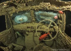 thistlegorm-wreck-inside-scuba-diving.jpg.webp