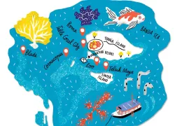 wakatobi dive resort