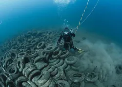 scuba diving artificial reef