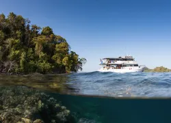 thumbnail_spd_journeys_png-.jpg.webp