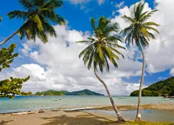 trinidadtobago_istock__full-opt.jpg.webp