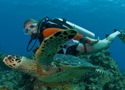 tysturtletest.jpg.webp
