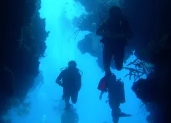 underwater_jpg.jpg.webp