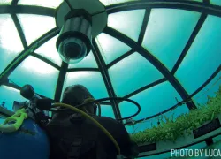 underwatergarden.jpg.webp