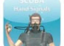 untitled.jpg.webp