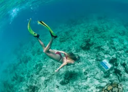 usvi-dive-chick.jpg.webp