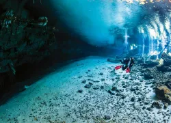 vizl_cenotes_.jpg.webp