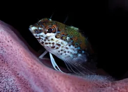 warm-water-.jpg.webp