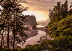 washington_istock__large-opt.jpg.webp