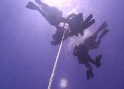 weightlessstilluw.jpg.webp