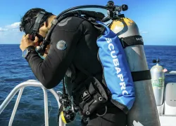 SP Edwin-Gonzalez.jpg.webp
