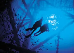 TI__dive_deeper.jpg.webp
