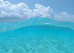 _vis_.jpg.webp
