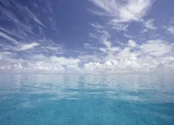 _bahamas_ac_.jpg.webp