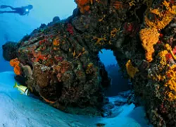 _cozumel_.jpg.webp