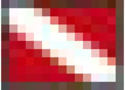 _dive_deals_flag__.jpg.webp