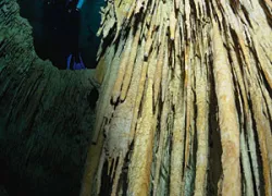 _cenote.jpg.webp