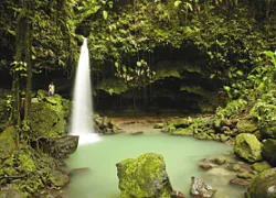 _dominica_ns_.jpg.webp