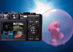 _photo_contest.jpg.webp