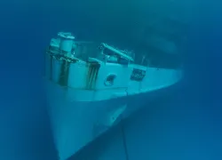 Kittiwake_Grand_Cayman_.jpg.webp