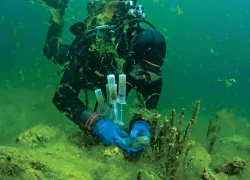 Lake Baikal invasive reen algae.jpg.webp