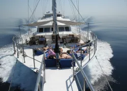 MA_bow_sunbathers.JPG.webp