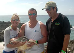 NYCU__turtle_release.jpg.webp