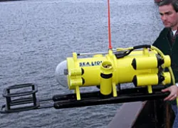 NYCU_sealion_rov.jpg.webp