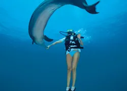 SCD_ENC_.jpg.webp