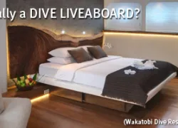 Scubadiving.com-Msg-Img-Pelagian--x-.jpg.webp