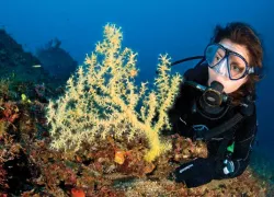 aae-gloves-on-reef.jpg.webp