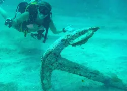 anchor-rainbowreef.jpg.webp