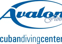 avalon-logo.jpg.webp