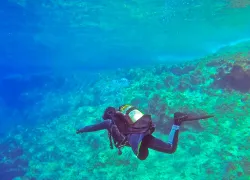 bahamas-destination-guide-andros.jpg.webp