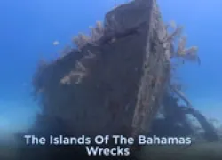bahamas-wrecks-video.jpg.webp