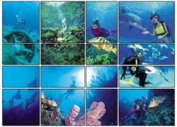 bahamas_tourism_picture.jpg.webp