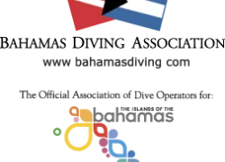 bda_color_logo-mot.png.webp
