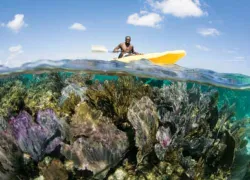 belize_.jpg.webp