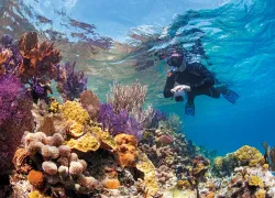 belize_dive_o_clock_somewhere_becky_kagan_schott_teaser.jpg.webp