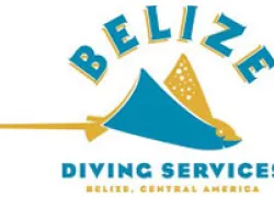 belizedivingservices.jpg.webp