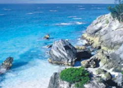 bermuda_.jpg.webp