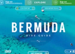 bermudadiveguide_x.jpg.webp