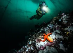 best-advanced-diving-north-america.jpg.webp