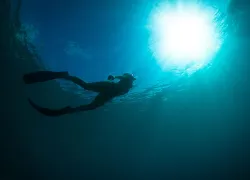 best-freediving.jpg.webp
