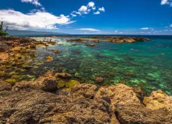 best-shore-diving--readers-choice-awards.jpg.webp