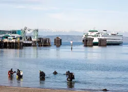 best_urban_night_dives_seattle_teaser.jpg.webp