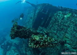 best_wreck_dives_british_virgin_island_caribbean_top_.jpg.webp