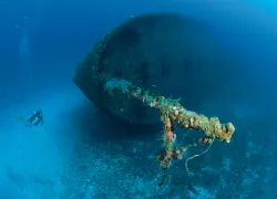 bestwreckdivingkeylargousa.jpg.webp